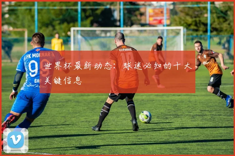 世界杯最新动态:球迷必知的十大关键信息
