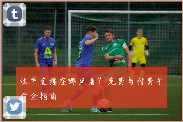 法甲直播在哪里看?免费与付费平台全指南