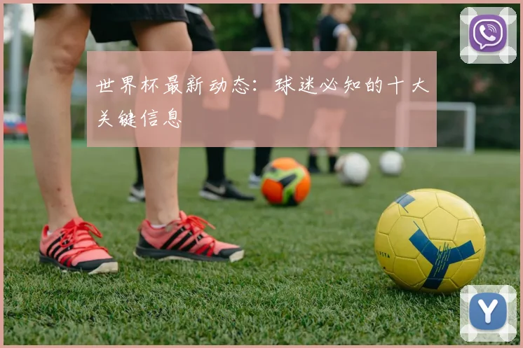 世界杯最新动态：球迷必知的十大关键信息