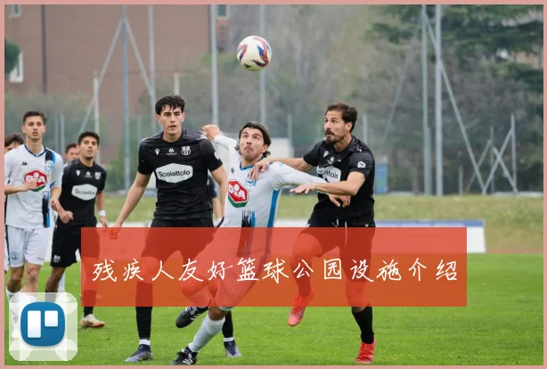 残疾人友好篮球公园设施介绍