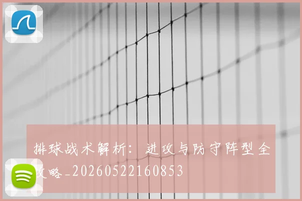 排球战术解析：进攻与防守阵型全攻略_20260522160853